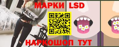 молекула духа Кингисепп