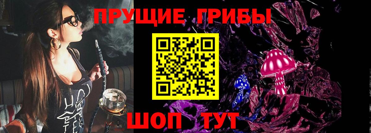 Котовск  Псилоцибиновые грибы прущие грибы  Вход с VPN  Псилоцибиновые грибы ЛСД 